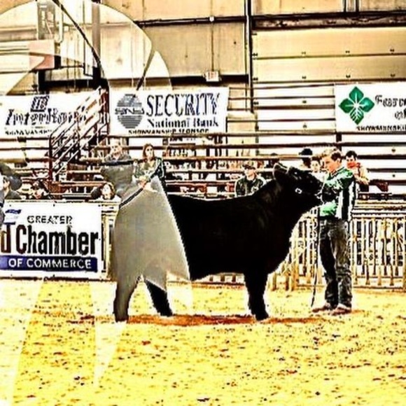 Meet your Posher, Justin - Picture 1 of 1